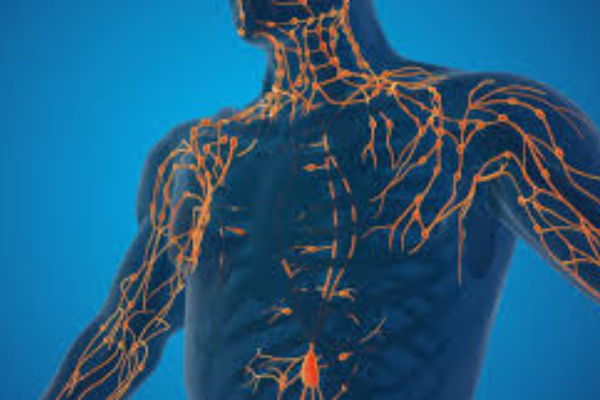 Taking Care of Your Lymphatic System