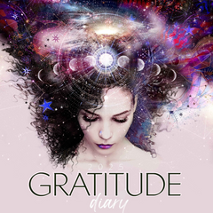 Gratitude Diary 2025